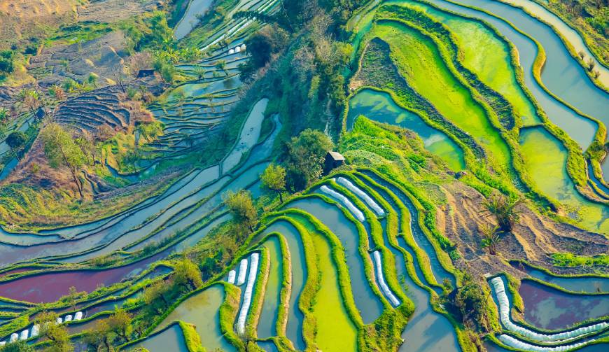 宝妈必备神器：青河县产品视频拍摄轻松育儿好帮手