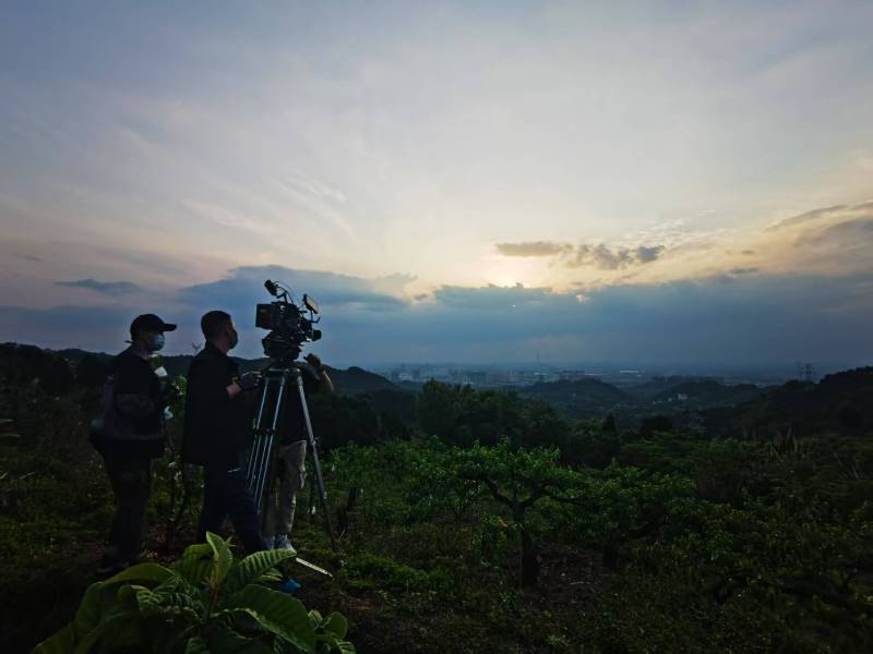 聚焦青河县产品宣传视频拍摄公司，用专业实力铸就品牌传播传奇