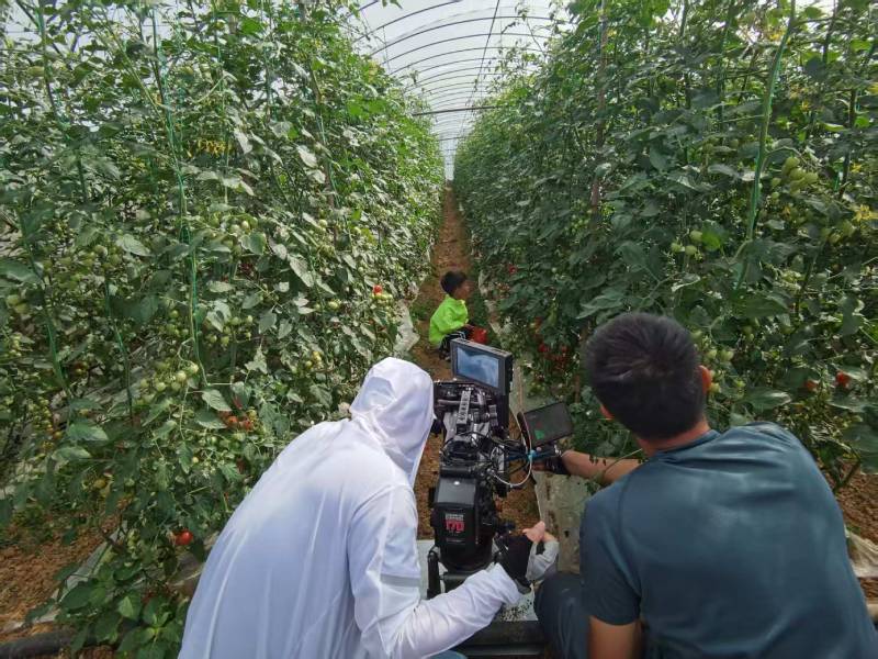 青河县产品宣传视频拍摄公司进阶指南，助力品牌抢占传播高地